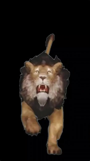 Lion running front view.. #powers#recommended#blackscreen#blackscreeneffect#effects #recommended #lion