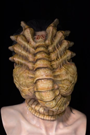 Hand-painted Alien Facehugger Bust: Sato Yoshihiko Style Sci-fi Collectible - Etsy