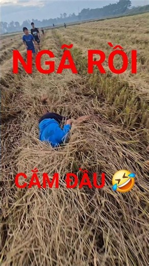 THUAN KIKI ACTING RECKLESS FLYING A FLUTE KITE IN A HARVESTED FIELD AND THE RESULT IS A FACEPLANT...