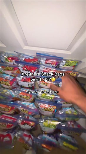 Download the FREE starter guide now📈💰🏆 #snackuniversity #snackbag #sidehustle #makingmoney #fypシ゚