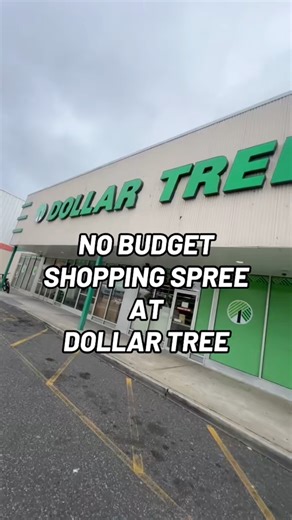 NO BUDGET DOLLAR TREE SHOPPING SPREE!! #dollartree | Dollar Tree Dollie