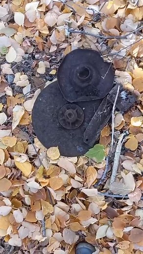 Discovering Treasures with a Metal Detector