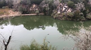 Can you spot the zip liner? 😄 #zipthecanyons Ocala/Marion County, Florida VISIT FLORIDA | The Canyons Zip Line and Adventure Park