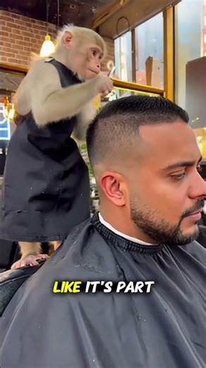 Barry the Barber Got Caught in 4K 😂💸