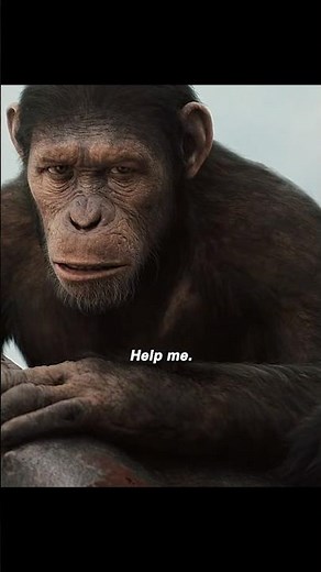 🦍Caesar Leads Ape Uprising on the Bridge! | Rise of the Planet of the Apes (2011) 🚨💔🚁