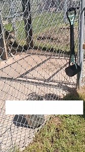 At Saint Francis Wolf Sanctuary, our mission is to provide exceptional lifelong sanctuary to non-releasable wolves and wolfdogs, while sharing a message of education and conservation. This includes ensuring that each resident has the autonomy to choose when they want to interact with enrichment-- for some, this means lots of quiet time and space. While it doesn't always provide exciting videos, their comfort is the most valuable thing. #WolfSanctuary #WildlifeConservation #AnimalWelfare #Sanctua