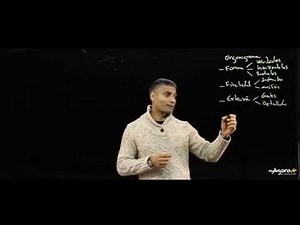 El organigrama de una empresa