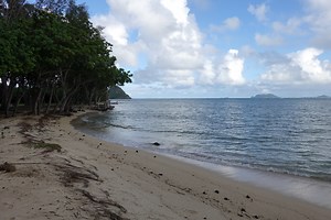 Kualoa Regional Park Campground A updated 2026
