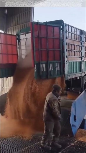 The efficient and rapid unloading of grain from trucks.