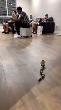 Pranking my roommates with a remote control snake! #shorts