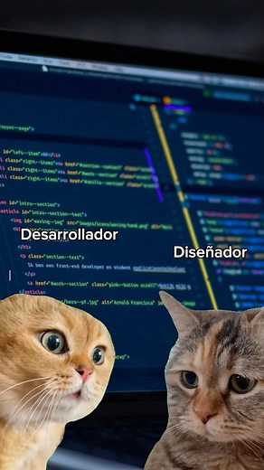 Criso • Software Developer on Instagram: "No confíen 🥲 Este es el problema habitual entre diseñadores y programadores, el cual con una buena comunicación se puede solucionar. Solo siéntate y explícale cómo funcionan las rejillas. Dale la solución más óptimo. Si usaras una plantilla, trata que coincidan con el diseño. #programadorjunior #programadorsenior #aprendeaprogramar"