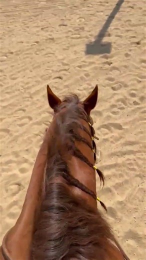 Yesterday was our last ride before our first show!!!!! I’m excited but also real nervous