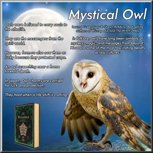 Mystical Owls: Messengers of Magic and Mystery
