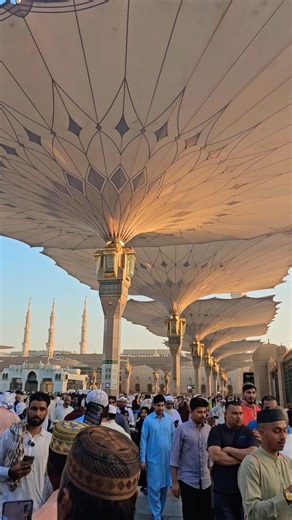 Sadke mai Mohammed ke 🦜🕌🦜 #short_feed #veral #madinasharif #islaam #islmicpost #newreels #hamukaka