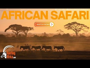 🎯 Butterfield Safari 🎯 | Hunting Africa | Limpopo | FULL LENGTH | 2021