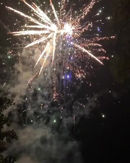 Stunning Night Fireworks Display in Vibrant Colors