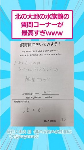 The Q&A session at the aquarium in northern Japan was the best lol #funny #animals