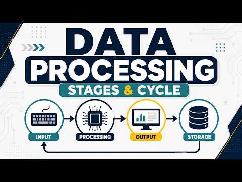 The Data Processing Cycle: What Happens After Collection