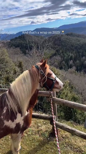 Looking forward to all the amazing things coming to CT Club in 2026 🤩🙌 Thank you to all our amazing Connection Training members! Comment CT Club if you are looking to join!! #connectiontraining #horsetraining #horsetrainingtips | Connection Training