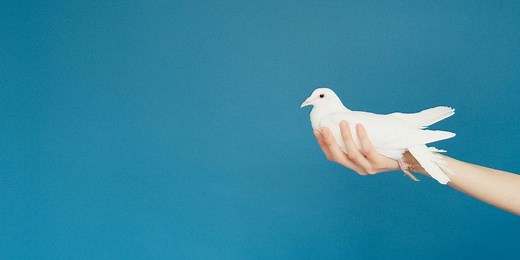 14 Conflict Resolution Strategies for the Workplace