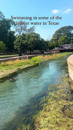 Found some of the clearest waters at Sewell park in San Marcos! Texas nature continuously amazes me with its beauty and it also constantly reminds me of the need to take care of it for generations to come! This area plus the entire river holds so many reminders. With a rare blind salamander that only lives here and an endangered Texas wild rice only in the San Marcos river. So let’s enjoy our Texas waters and protect them at the same time. Get more travel inspiration with our Texas travel guide!