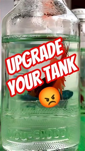 Keeping Fish in Tanks That Are Too Small 😱