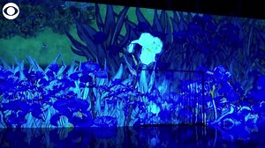 5.9K views · 43 reactions | Vincent van Gogh's masterpieces come to life in a new exhibit called "Immersive Van Gogh" at Pier 36 in New York City. The exhibit features work like "Iris" and "Starry Night Over the Rhone" floating, spinning, and transforming before the audience. The exhibit is open to the public starting June 10. | WPRI 12 | Facebook