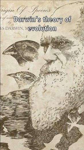 Charles Darwin's Theory of Evolution Explained 🐒📊