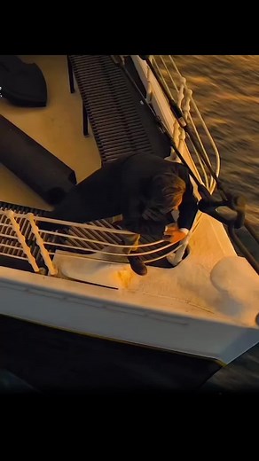 Movie Clip. #foruyou #fyp #foryoupag #movie #movieclips #tiktok #foryourpage #foryourpage #creatorsearchinsights #fortou #fouryou #titanicmovie #titanic #fypシ゚