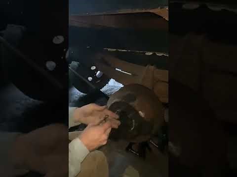Getting to/doing the rear brakes on a 1960-66 Chevy C60 (or other C-series medium duty trucks)