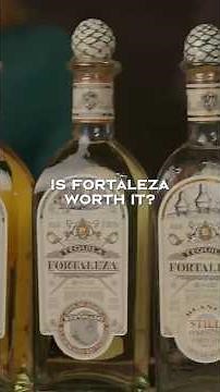 Is Fortaleza Worth It?