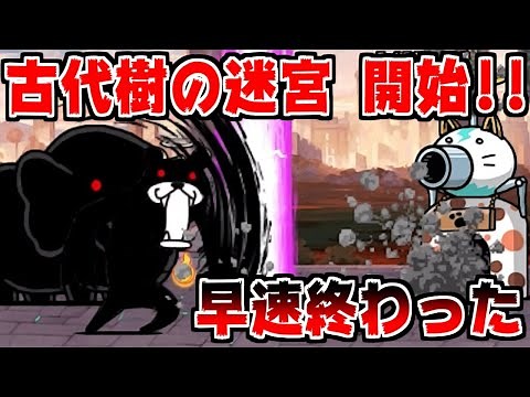 [The Battle Cats] Ancient Tree Labyrinth: The Vine-Locked Door Walkthrough! Time to get Ancient M...