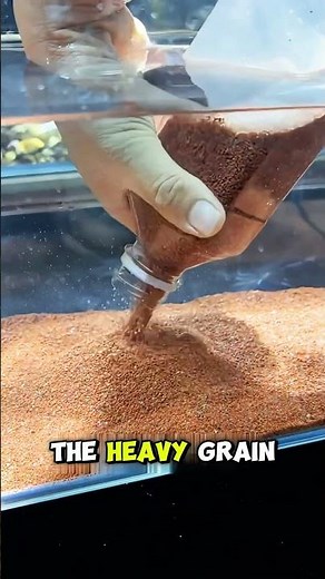 e Right Way to Add Sand in Your Fish Tank 😱✨#unrevealx