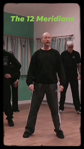 The 12 standard meridians, also called Principal Meridians, are divided into Yin and Yang groups. The Yin meridians of the arm are Lung, Heart, and Pericardium. The Yang meridians of the arm are Large Intestine, Small Intestine, and Triple Burner. The Yin Meridians of the leg are Spleen, Kidney, and Liver. The Yang meridians of the leg are Stomach, Bladder, and Gall Bladder. fb.com/stars | Tai Chi Heaven and Earth