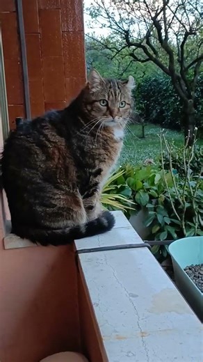 Artù! Controlla controlla i bambini!! 😹😂😹😂