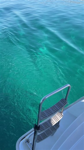 The countdown to this has begun! 🌊 T-minus 53 days to turquoise waters, sunshine, chill music, Greek food and wine and lots of fun on board! Check out all our cruise tour options online at —> www.sailingathens.com and pre-book the one that suits your itinerary the best. See you soon! #sailingathens #summer2026 #prebooking #athens #greece