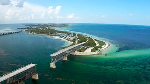 4K reactions · 381 shares | Put some distance between you and the rest of the world when you visit Big Pine Key, Florida's Lower Keys and Stock Island this summer. | The Florida Keys & Key West | Facebook