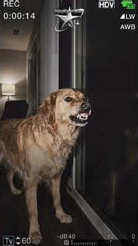 scary TRUE stories | The Visitor in the Snowstorm Ep1