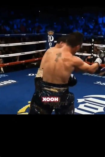 Dany Garcia boxing style