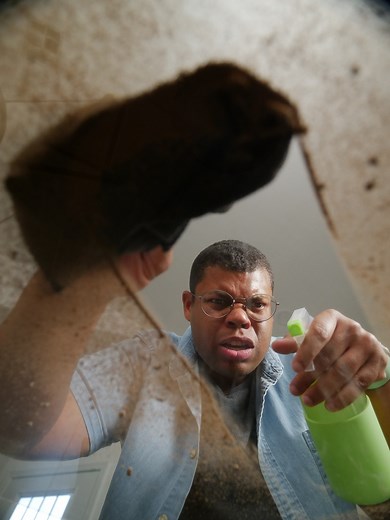 123K views · 990 reactions | Make your own dusting spray ✨ | USA TODAY Video | Facebook