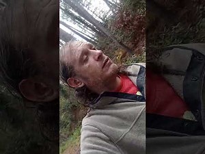 Blair witch project trailer