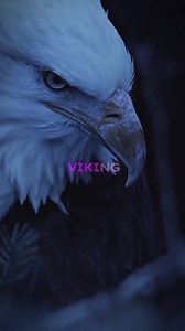 Viking Vibes: Unraveling the Song's Meaning