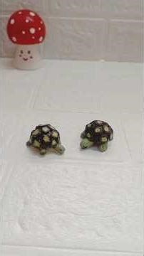 DIY Macadamia shell into mini tortoise#diy#shorts#craft