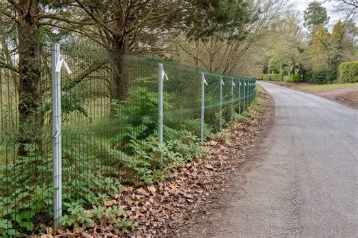 Inspectors rule that divisive Kenilworth fence can stay