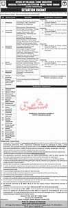 Medical Teaching Institution GKMC BKMC Swabi Jobs 2021 2026 Job Advertisement Pakistan