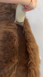 254K views · 738 reactions | Hand strip or clip??? ⭐️FOLLOW NOW FOR...