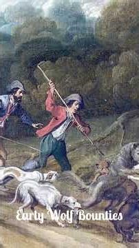 Wolf Hunters in Colonial America #usa #america #didyouknow #hunter #facts #history #historyfacts
