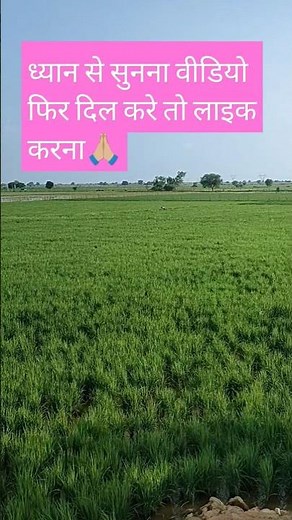 kheti badi shorts #rakeshtikait #kishan #farmer #farmer #khetibadi #trendingshorts #trustonallah
