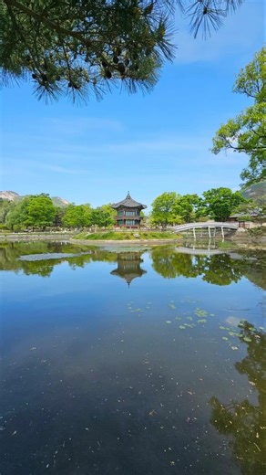 경복궁, 향원정 #서울여행 #경복궁 #향원정 #korea