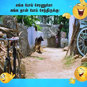 277K views · 10K reactions | Neranja Manasu | Vijayakanth | Susan | Nassar | Manorama | Sampath Raj | Senthil | Vinu Chakravarthy | Ilavarasu | Vidhyasagar | API Tamil Comedy | Facebook